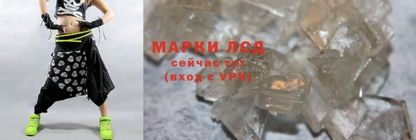 трава Белокуриха