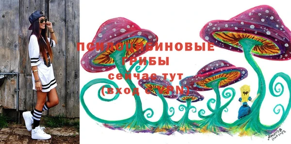 гидропоника Богданович