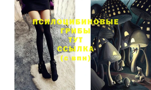 трава Белокуриха