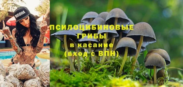 дживик Белоозёрский