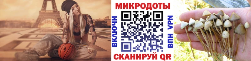Псилоцибиновые грибы ЛСД  гидра ССЫЛКА  Верхняя Тура 